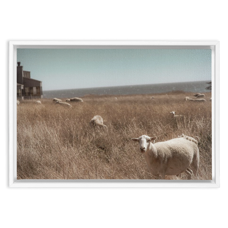 media image for Sea Ranch Framed Canvas 272