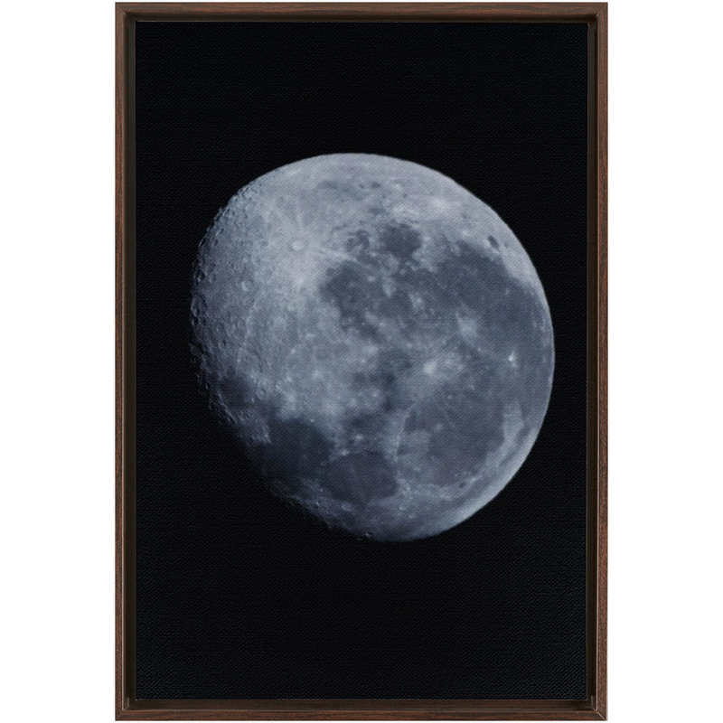 media image for Bue Moon Framed Canvas 271