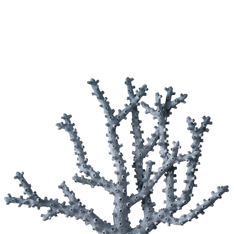 media image for Blue Coral Set Of 2 By Currey Company Cc 1200 0797 4 281
