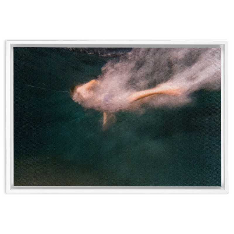 media image for Night Dive Framed Canvas 240