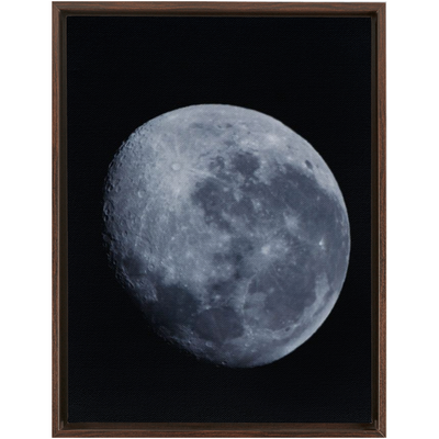 product image for Bue Moon Framed Canvas 44