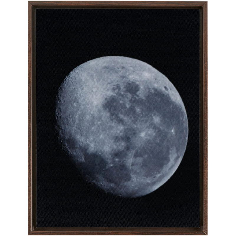 media image for Bue Moon Framed Canvas 251