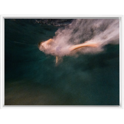 product image for Night Dive Framed Canvas 24