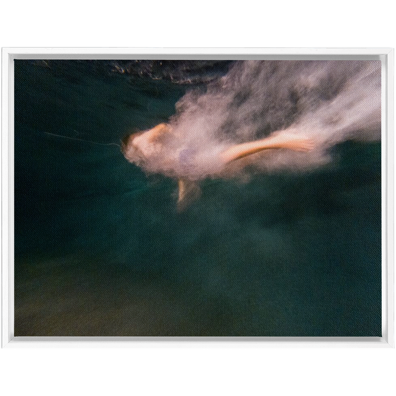 media image for Night Dive Framed Canvas 270