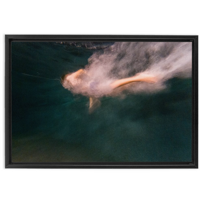 product image for Night Dive Framed Canvas 1