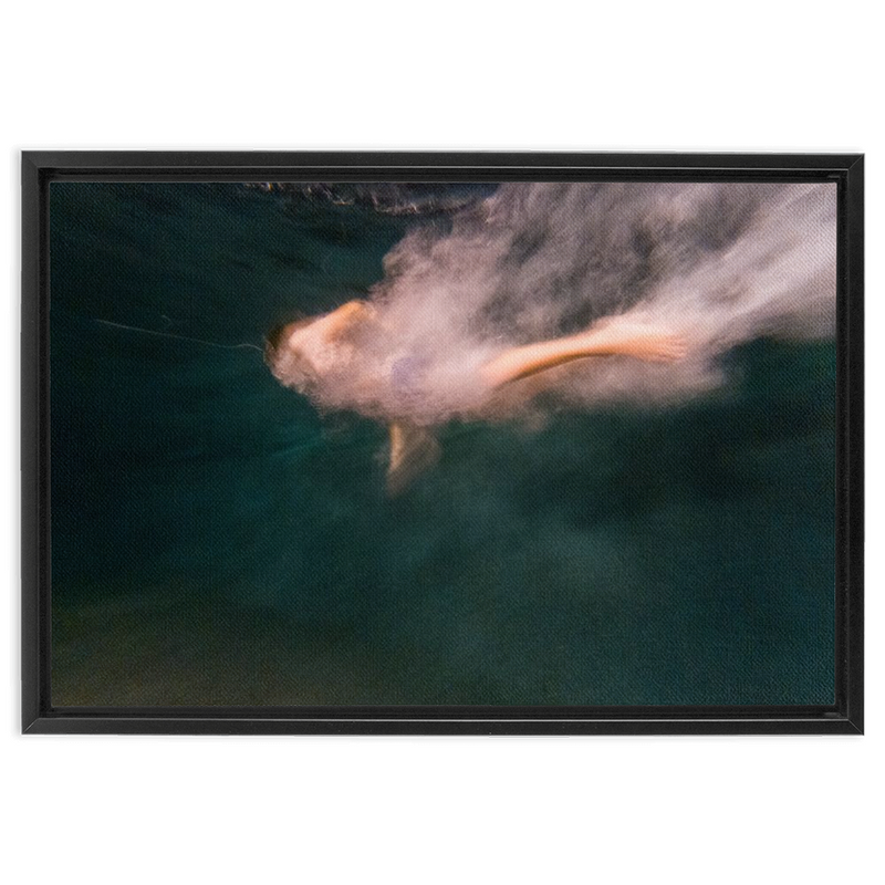 media image for Night Dive Framed Canvas 226