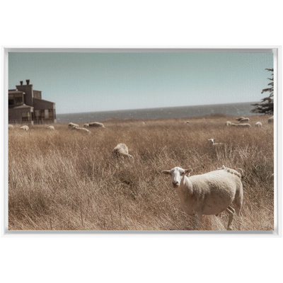 product image for Sea Ranch Framed Canvas 74