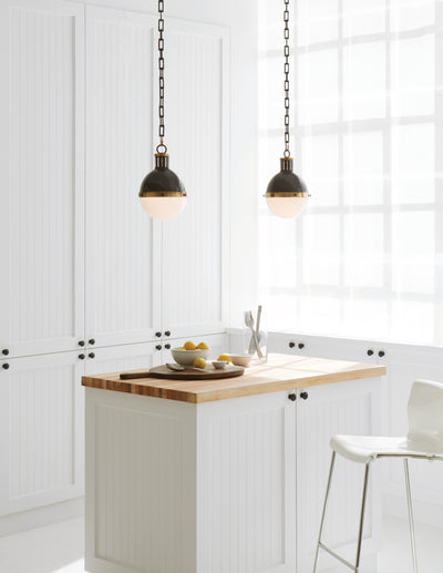 product image for Hicks Small Pendant by Thomas O'Brien Lifestyle 1 77