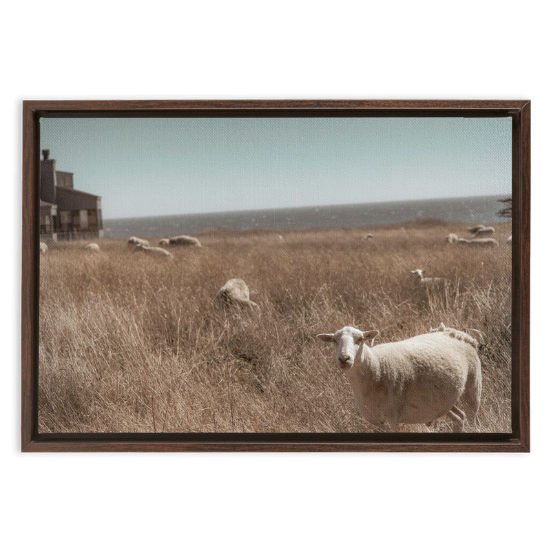 media image for Sea Ranch Framed Canvas 220