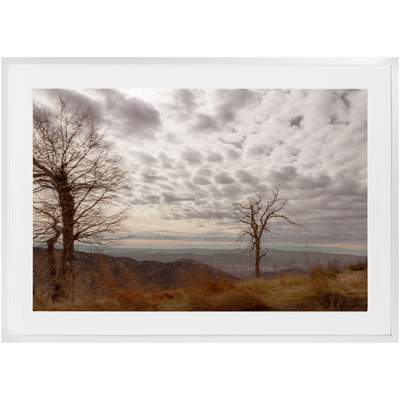 product image for Traveling Framed Print 99