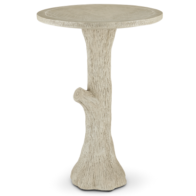 product image for Faux Bois Bird Bath By Currey Company Cc 2200 0024 1 35