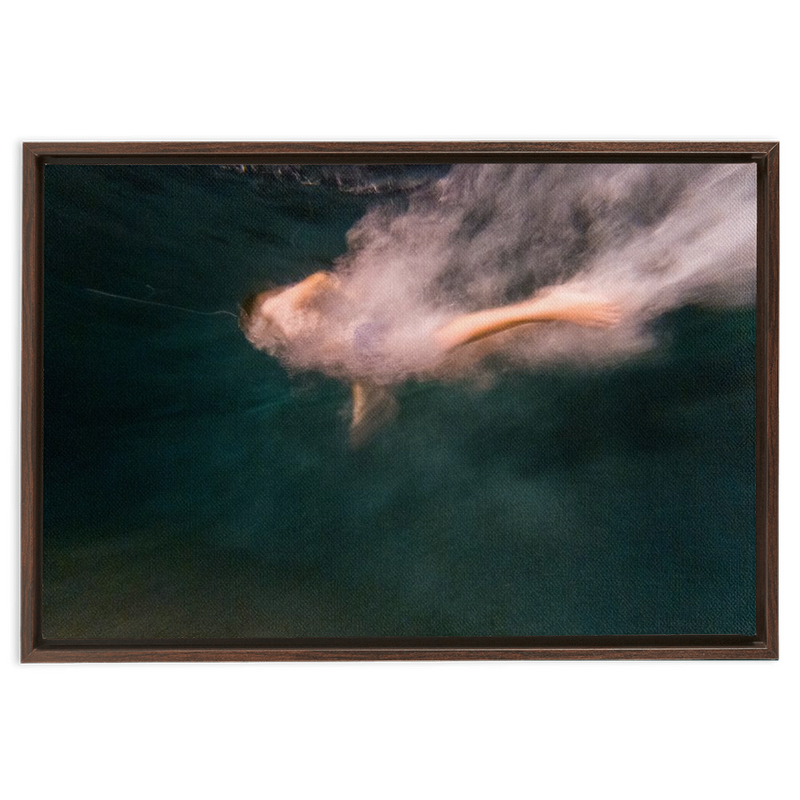 media image for Night Dive Framed Canvas 217