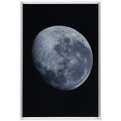 product image for Blue Moon Framed Canvas 46