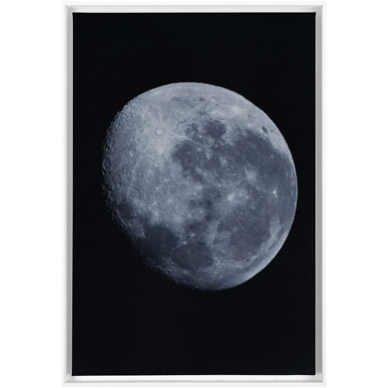media image for Bue Moon Framed Canvas 268