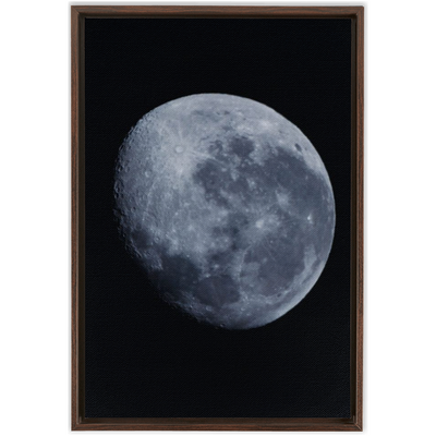 product image for Blue Moon Framed Canvas 93