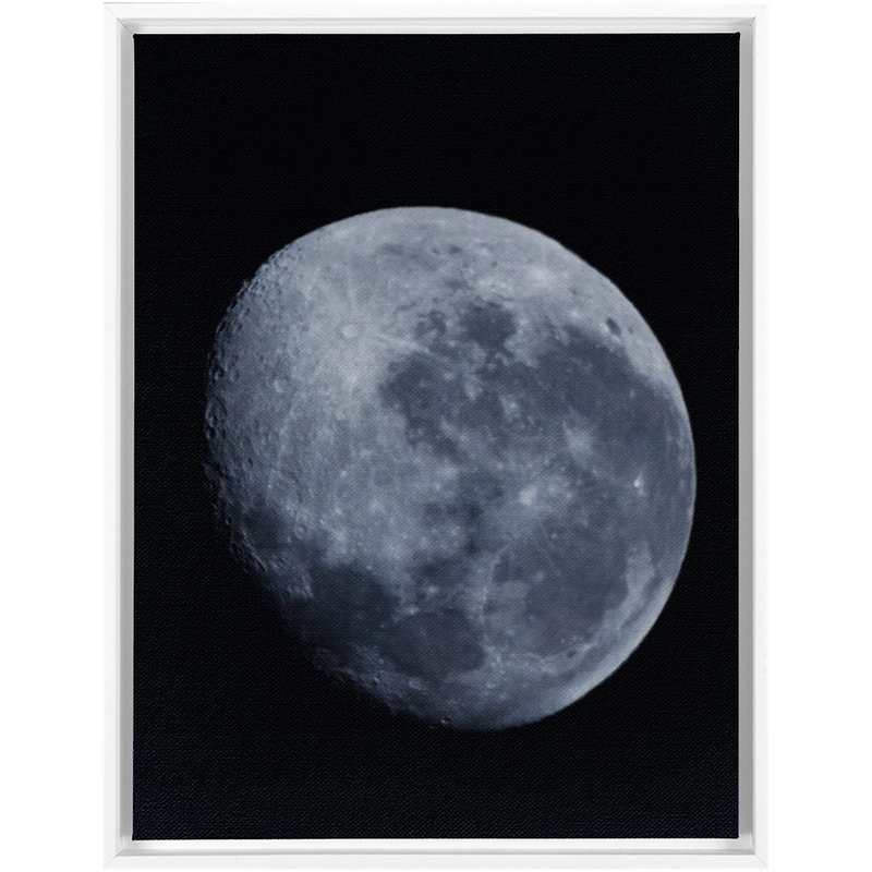 media image for Bue Moon Framed Canvas 231