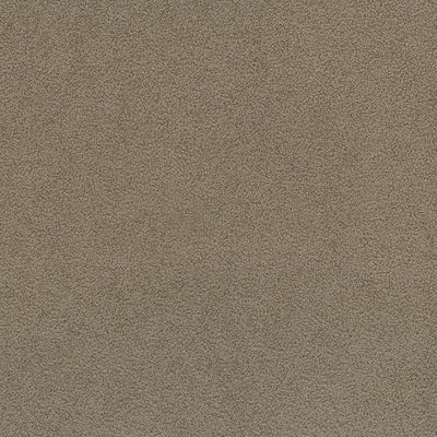 product image for Cumbria Ennerdale Fabric in Taupe 88
