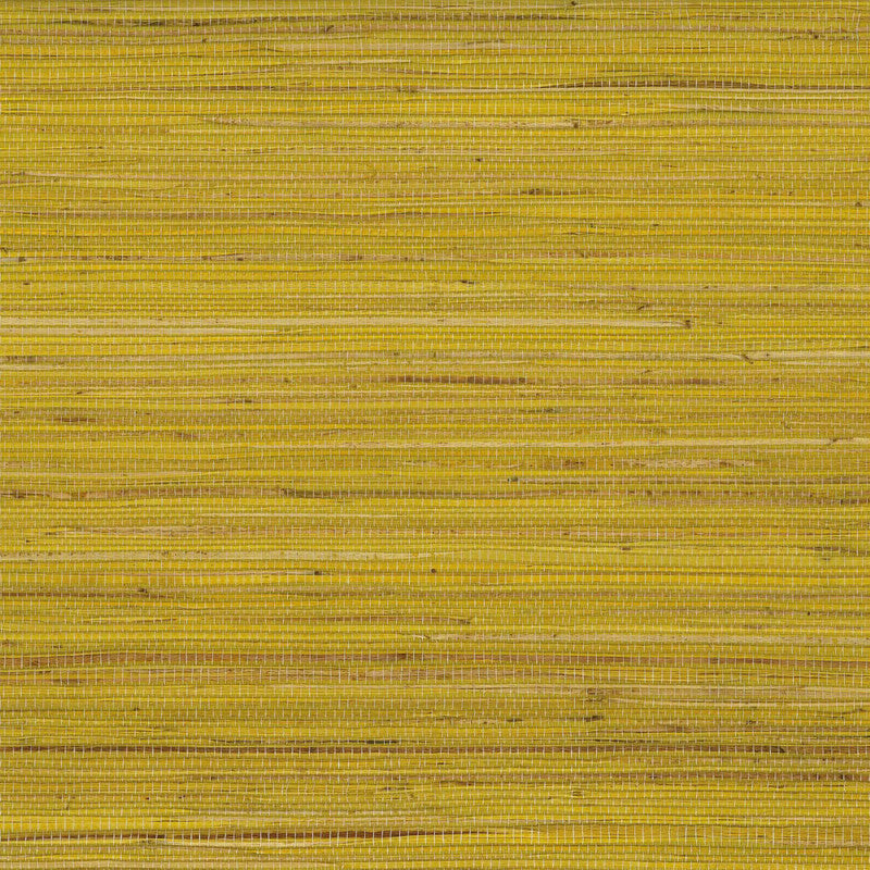 media image for Kanoko Grasscloth II Wallpaper in Yellow 241
