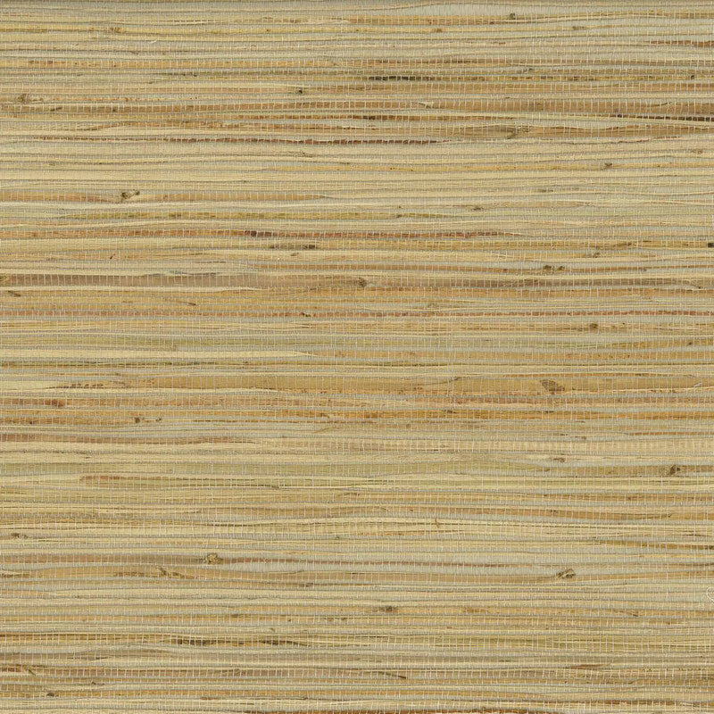 media image for Kanoko Grasscloth II Wallpaper in Nude 234