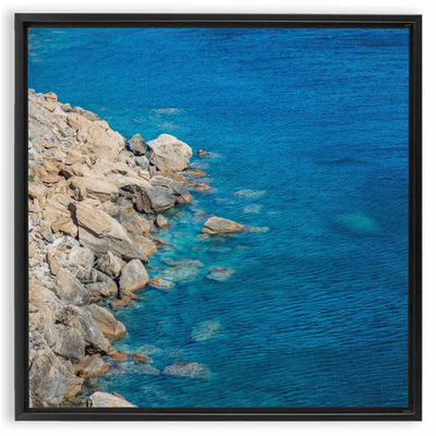 product image for menagerie framed canvas 4 46