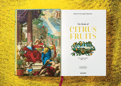 product image for j c volkamer the book of citrus fruits 7 24
