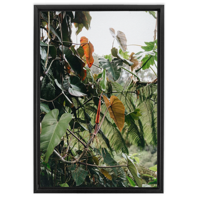 product image for jungle framed canvas 12 15