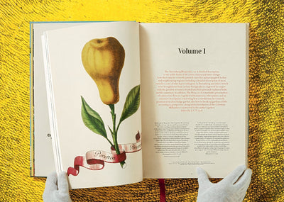 product image for j c volkamer the book of citrus fruits 4 62