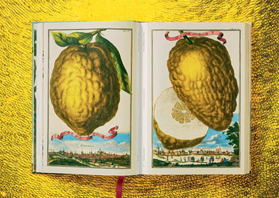 product image for j c volkamer the book of citrus fruits 5 81