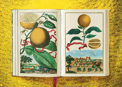 product image for j c volkamer the book of citrus fruits 6 31