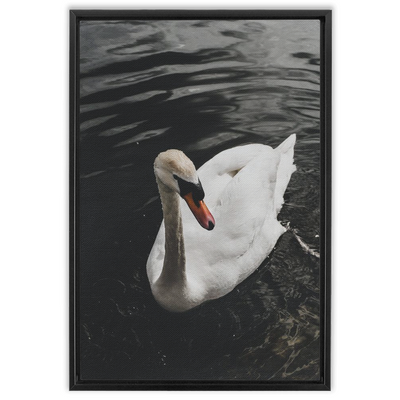product image for swan framed canvas 7 58
