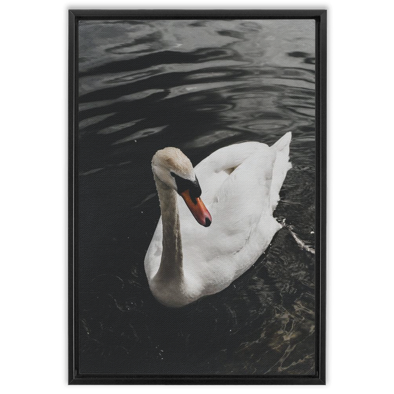 media image for swan framed canvas 7 245