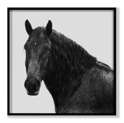 product image of Horse Riggs Farm 5 By Grand Image Home 103998_P_27X27_B 1 546