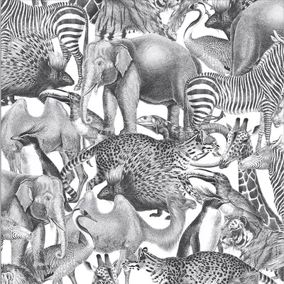 product image of sample kingdom zebra wallpaper from the exclusives collection by graham brown 1 53
