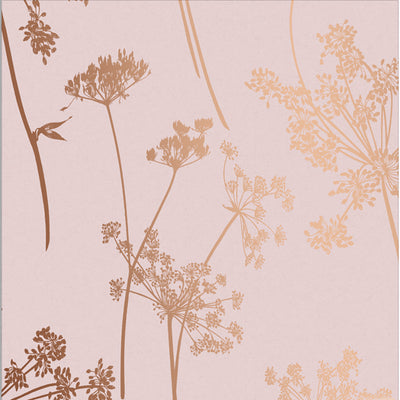 product image for Anthriscus Blush Wallpaper from the Exclusives Collection by Graham & Brown 1