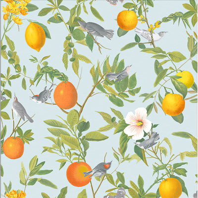 product image for Amalfi Cielo Wallpaper from the Exclusives Collection by Graham & Brown 49