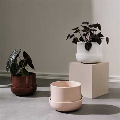 product image for nappula plant pot w saucer by iittala 1059789 5 7