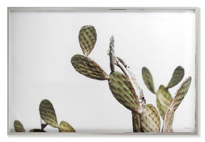 product image of Az Botanical 37 By Grand Image Home 107630_P_29X43_Gr 1 529