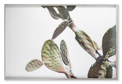 product image for Az Botanical 40 By Grand Image Home 107633_P_29X43_Gr 1 21