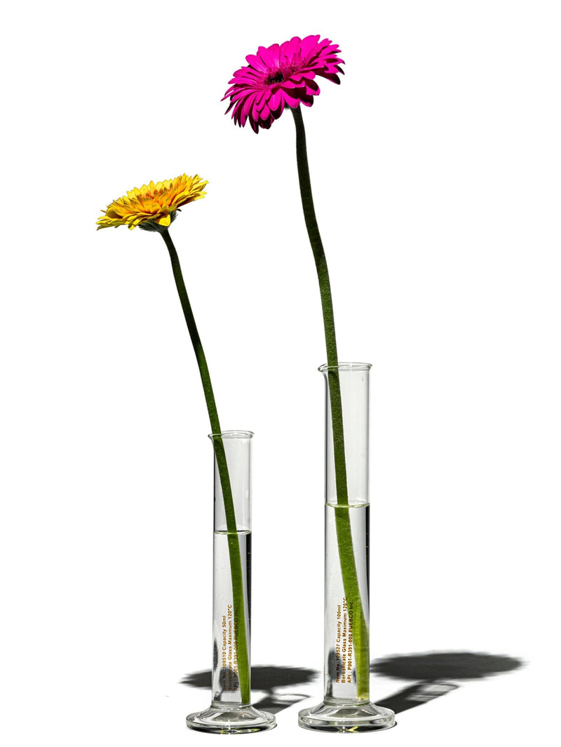 media image for single flower vase 4 213