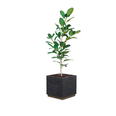 product image for Ely Planter 79