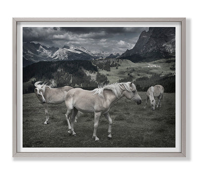 product image for Horses In Europe By Grand Image Home 109811_P_36X44_Gr 1 16