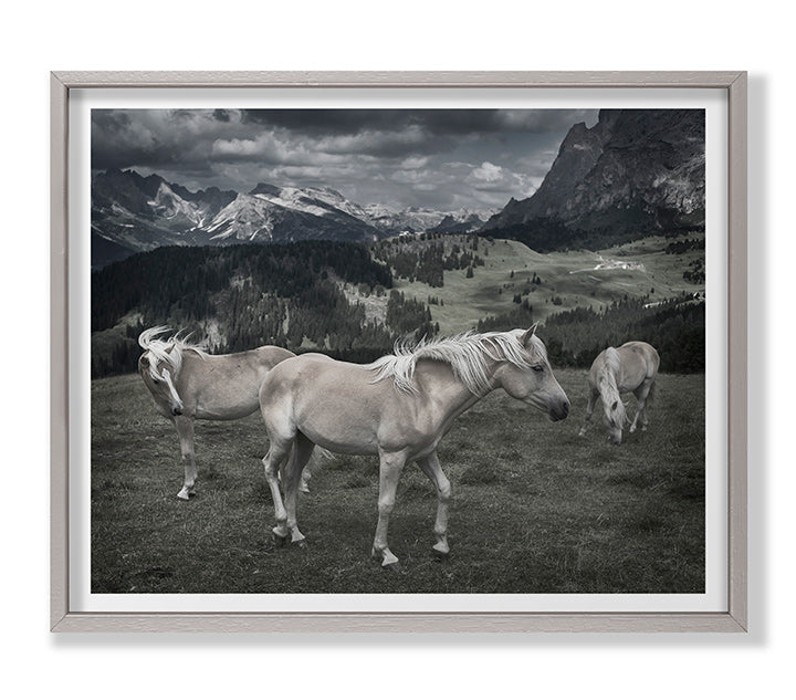 media image for Horses In Europe By Grand Image Home 109811_P_36X44_Gr 1 252