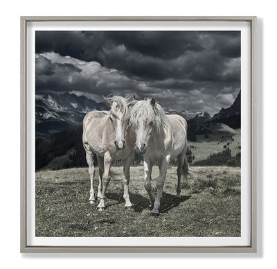 product image of Horses In Europe Ii By Grand Image Home 109812_P_44X44_Gr 1 574