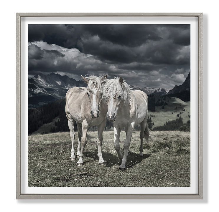 media image for Horses In Europe Ii By Grand Image Home 109812_P_44X44_Gr 1 281