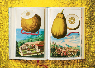 product image for j c volkamer the book of citrus fruits 11 55