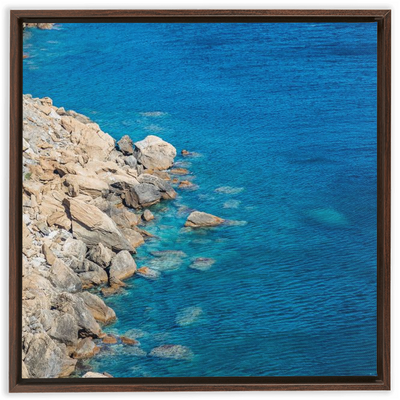 product image for menagerie framed canvas 8 61