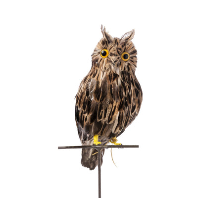 product image for owl brown large design by puebco 2 5