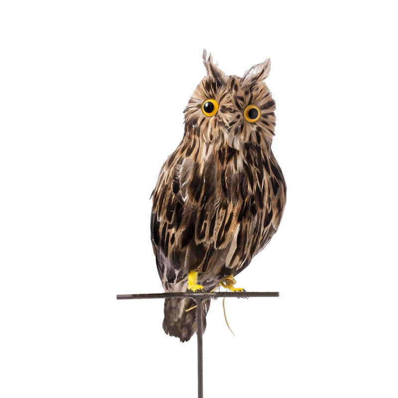 media image for owl brown large design by puebco 2 217