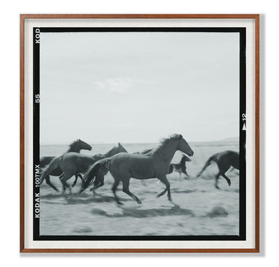 product image for Running Horses By Grand Image Home 110504_P_28X28_M 4 85