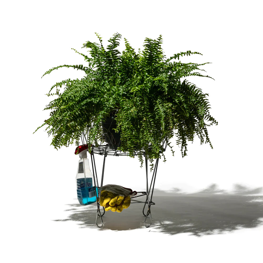 Shop Industrial Folding Basket | Burke Decor